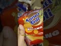 Roti Sansa