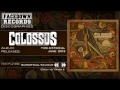 Colossus Time Eternal Superficial Saviour mp3