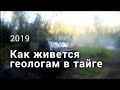 Как живется геологам в тайге. 2019 г.