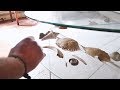 Ancient Fossils and Bones Found Inside an Untouched Abandoned House