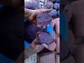 😍Extremely Satisfying to Watch