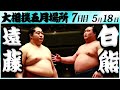 大相撲　遠藤ー白熊＜令和６年五月場所７日目＞SUMO