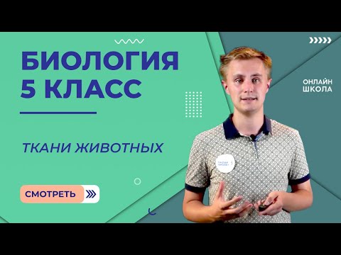 Ткани животных. Видеоурок 14. Биология 5 класс