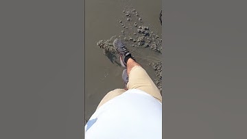 Beach Metal Detecting with the XP Deus II  Found Some Treasure by the Jellyfish!