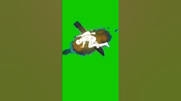 Thumbnail of Headshot Green Screen Effect