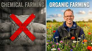Beyond Chemical Farming: Embracing Organic for a Secure Future