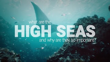 The High Seas Treaty: the agreement on biodiversity beyond national jurisdiction | LSE Research