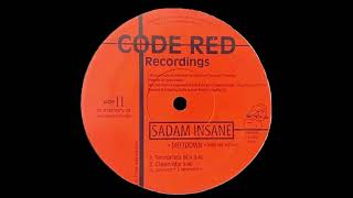 Sadam Insane - Meltdown (Terrorist Mix) [2000]