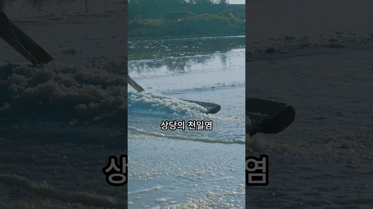 김장철 천일염 훔쳐간 영농회장