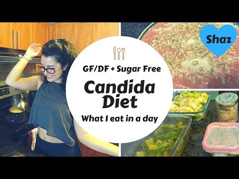 what-i-eat-in-a-day---non-vegan-candida-diet