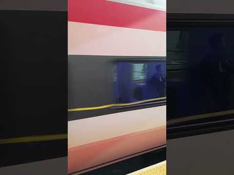 My first brightline