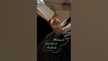 احمد بن طالب سورة التوبة #اكسبلور #راحة_نفسية