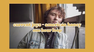 current joys - american honey \/\/ 1 hour