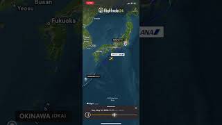 NH479 HND-OKA Diverted to HND #japan #b777 #airplane #aeroplane #allnipponairways #boeing