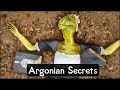 Skyrim 5 things they never told you about argonians