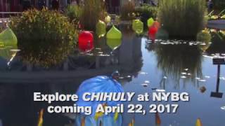 Chihuly is Underway!
