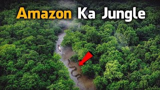 Amazon Forest facts | Documentary on Amazon forest | Deadliest Amazon Forest | Nature's Facts |