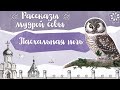 Православный рассказ для детей «Пасхальная ночь»