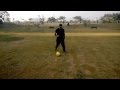 Soccer Fever 2013