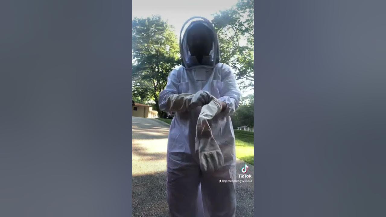 How to remove the bees in the wall ? Cinnamon, moth balls and vinegar