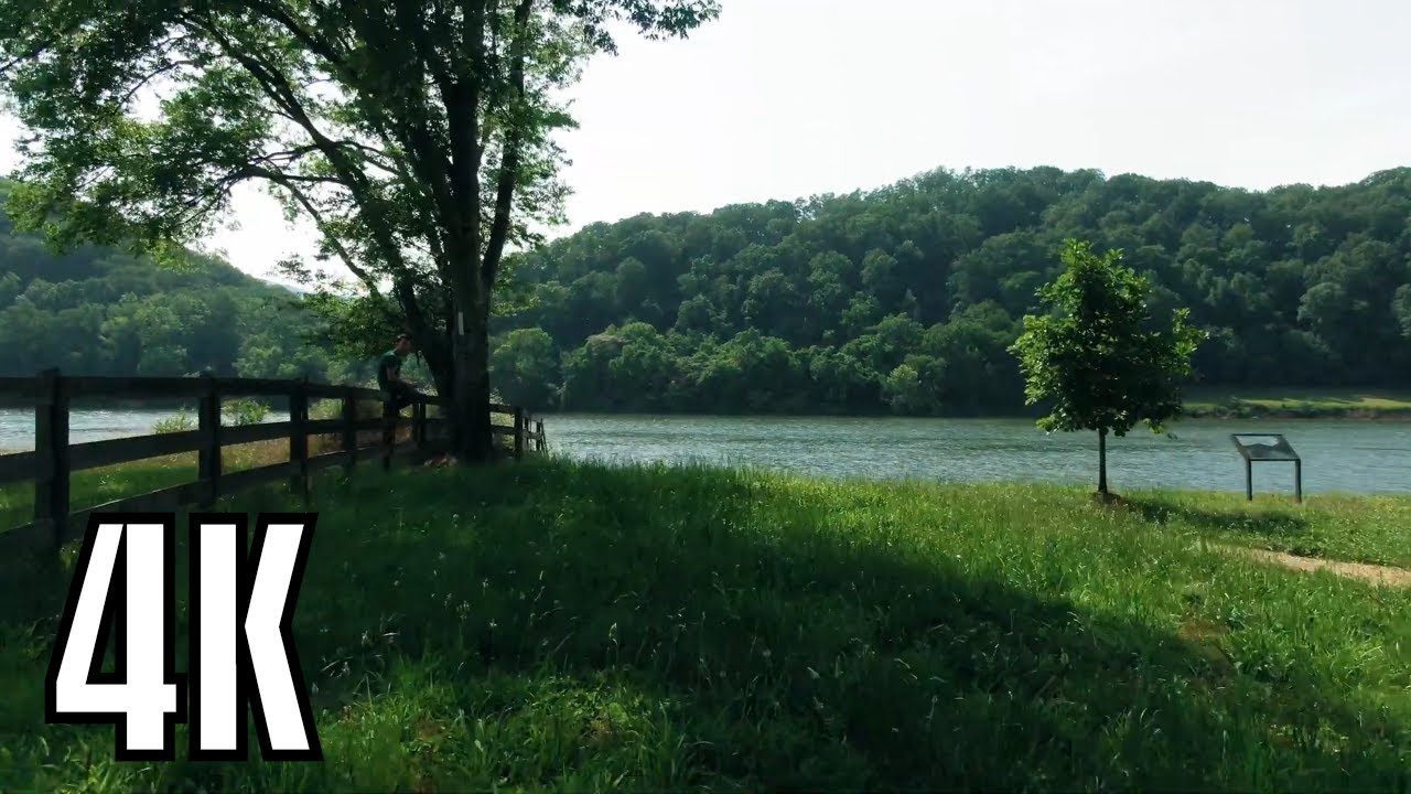 Drone Footage Of A River Surrounded By Lush Land - FREE 4K
