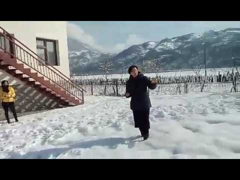 პროექტი ,,მწვანე ეზო\" მხარი დაგვიჭირეთ