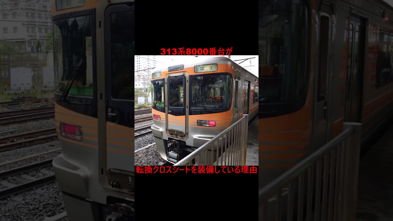 商談中‼︎ 
スズキ　GN125-3F 有頭殻付きブラックタイガー（60） 【業務用食材の仕入れなら八面六臂】