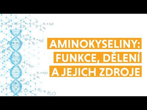 Video: Jaké Jsou Aminokyseliny