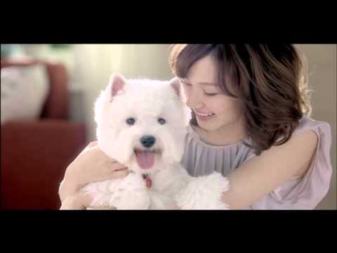 西莎狗狗電視廣告超 可 愛 Youtube