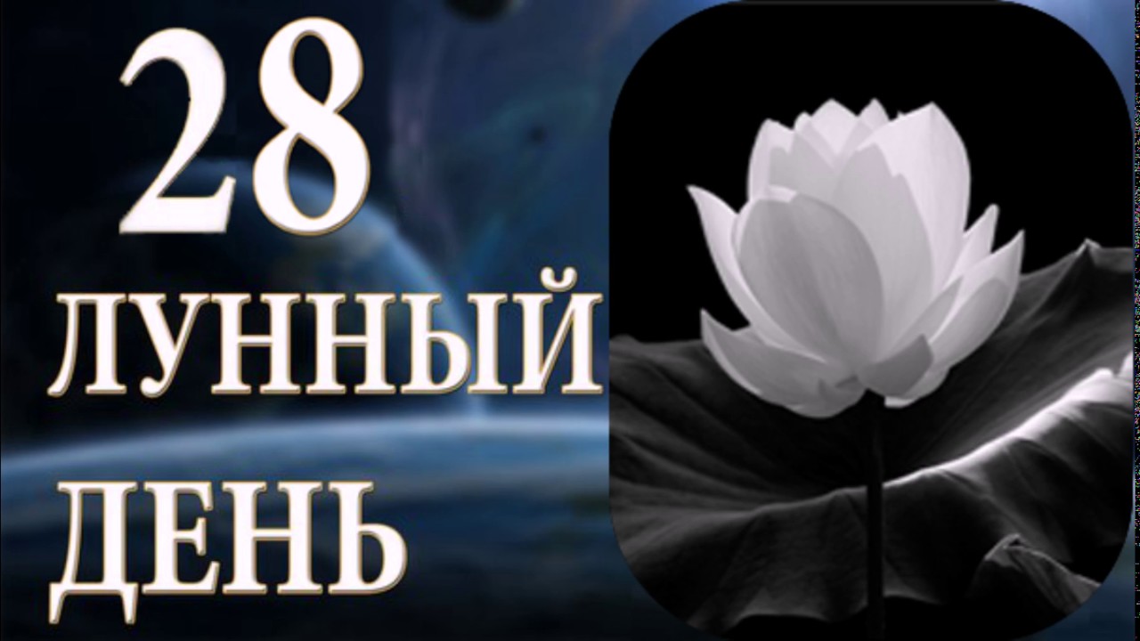 9 января лунный календарь. Фаза луны сегодня. Лунный знак. 8 лунные сутки / Тать