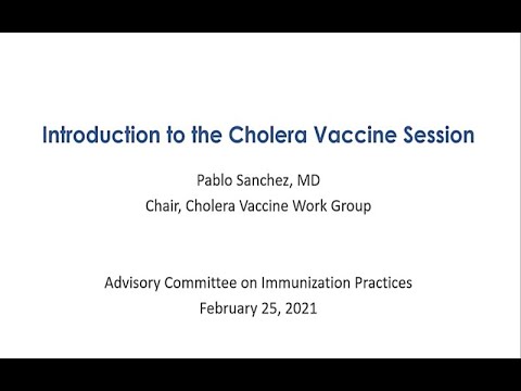 February 2021 ACIP Meeting - Cholera & Orthopoxviruses Vaccines