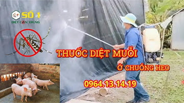 THUỐC DIỆT MUỖI CHO CHUỒNG HEO - DIỆT SẠCH SẼ MUỖI SAU 1 LẦN PHUN THUỐC