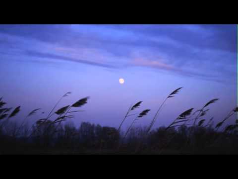 Madrugada-Strange Colour Blue