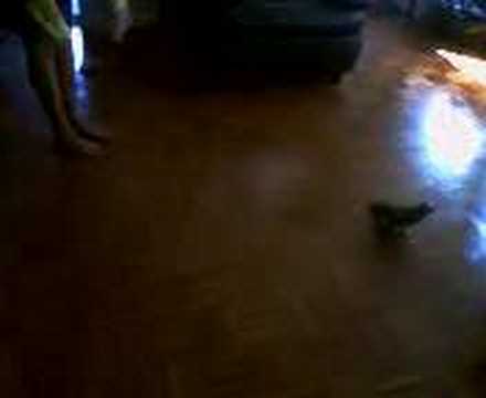 Kasey Chase'in Mom Lol.
