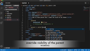 How To Hide Parent But Show Its Child/Children In HTML And CSS