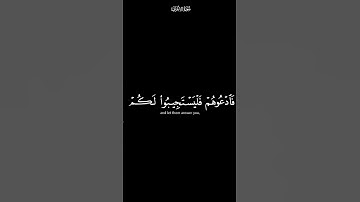 ان الذين تدعون من دون الله _ كرومات شاشة سوداء القرآن الكريم _ القارئ ياسر الدوسري