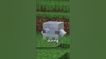 Mini Mod Reviews - Ghosts