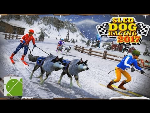 Sled Dog Racing 2017 - Android Gameplay HD