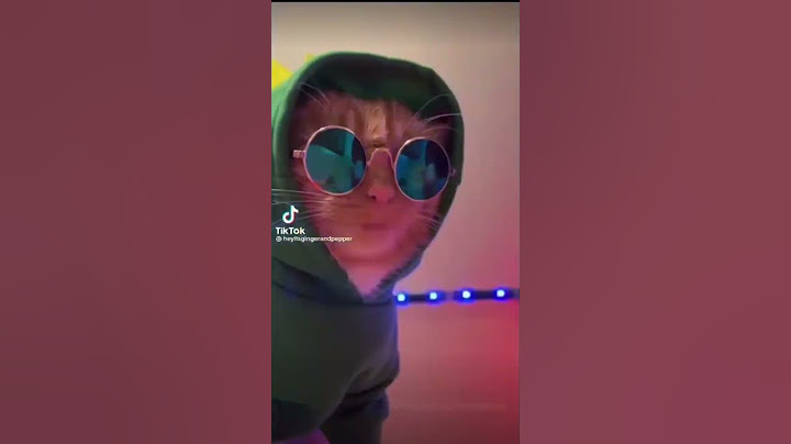 Les chats qui danse
