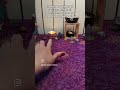 My new permanent space for online tarot readings, so delighted and grateful #tarot #onlinetarot