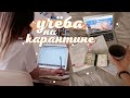 Учёба на карантине/study with me