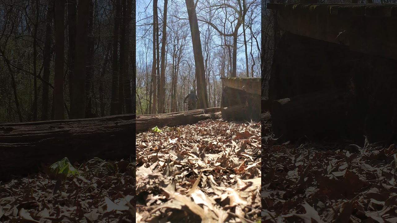 Jump at Stanky Creek, Bartlett, TN 2 YouTube