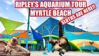 Ripley's Aquarium Myrtle Beach Full Tour at Broadway at the Beach! SLOTH Habitat OPEN!