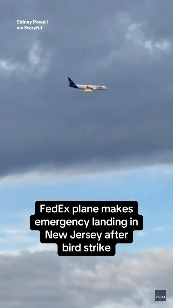 FedEx cargo plane’s engine ignites in flames after bird strike #shorts