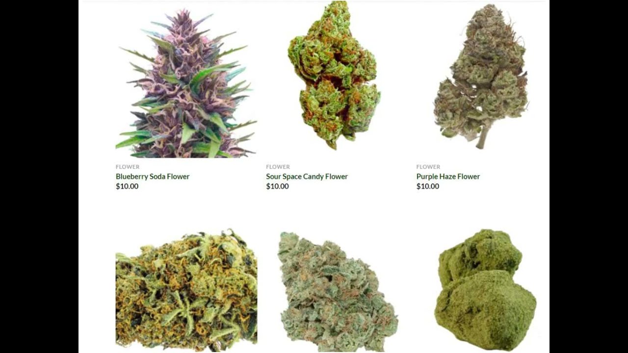 Smoke Shop in Kissimmee YouTube