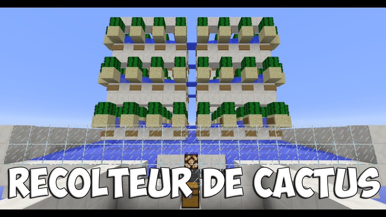 Comment Faire Récolteur De Cactus Automatique Dans Minecraft