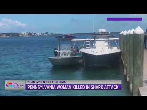 Pennsylvania Woman Killed in Shark Attack Near Green Cay, Bahamas