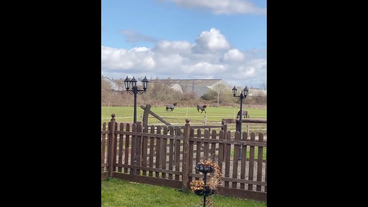 Relaxing Countryside Views in West Horndon | UK