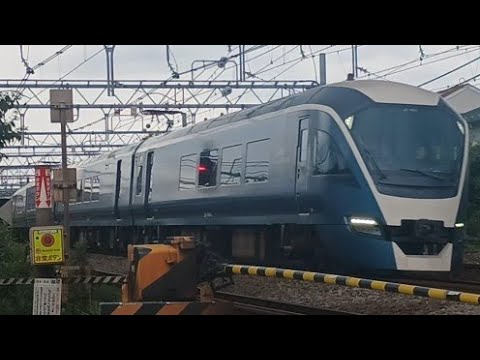 【遅れの東海道線に被られる所だった...】E261系RS-02編成【特急】サフィール踊り子2号東京行き　