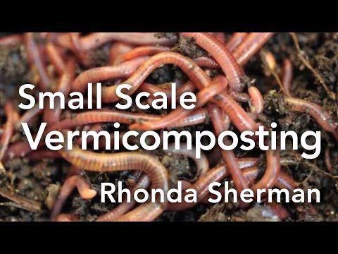 Small Scale Vermicomposting - YouTube